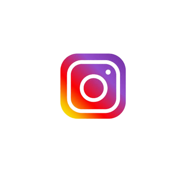 Icona Instagram DesenzanoLoft Official